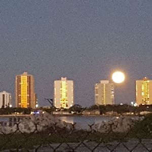 Meet your Posher, Paul